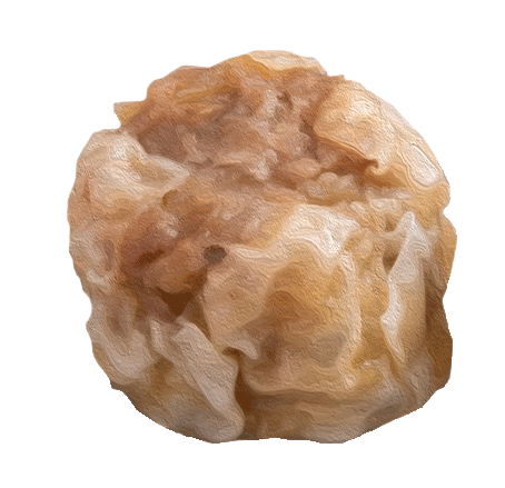 サバと八丁味噌焼売