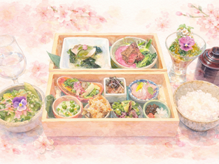 3/11～お花見弁当ご提供スタート