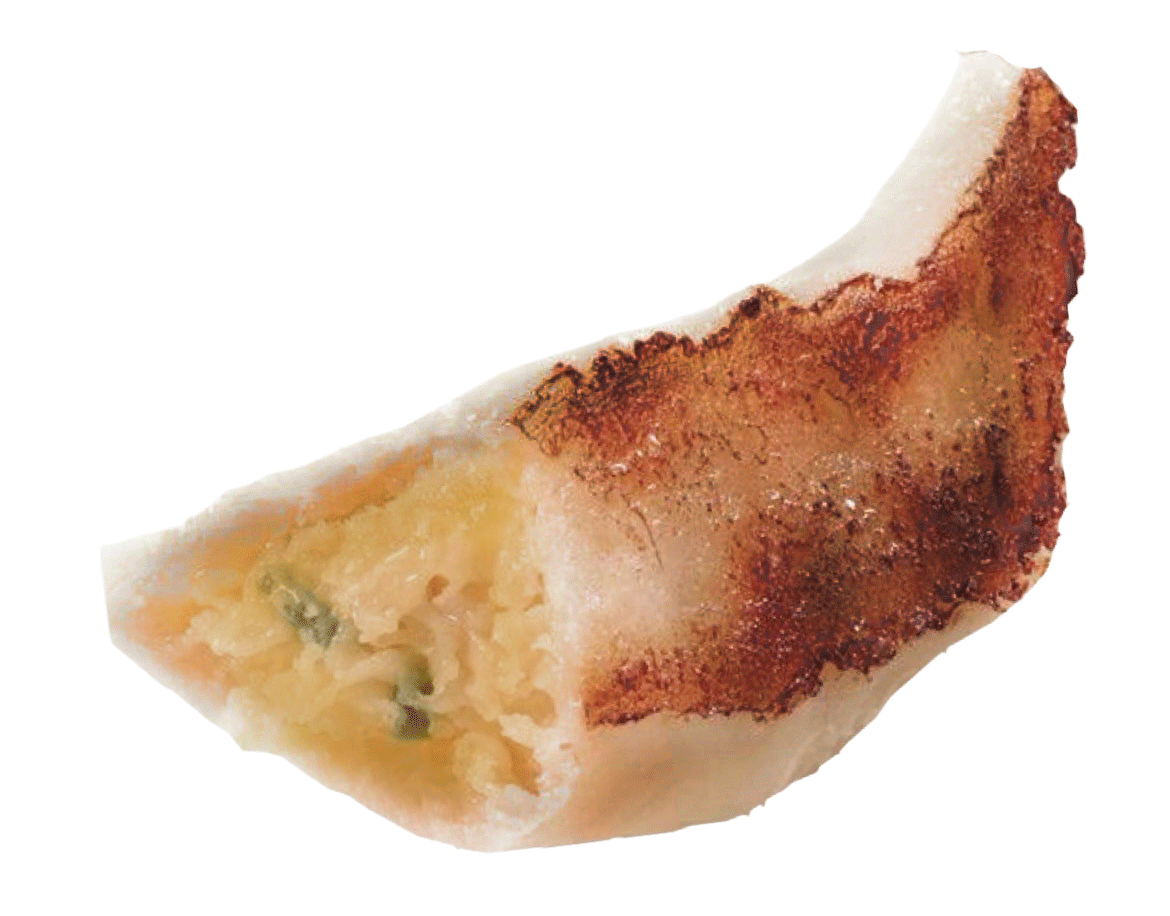 サバカレー餃子