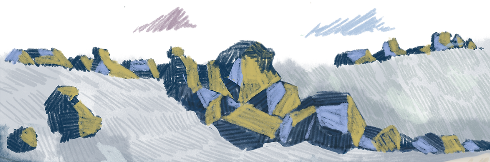 steitz herkunft rheinhessen wein bg footer.png