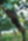 Steitz_September_2024©peterbender_730.jpg