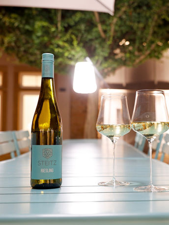 Coole Climate - Weine aus Rheinhessen in unserem Weinshop
