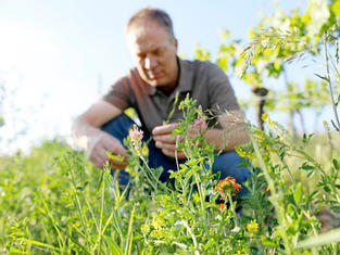 REGENERATIVE AGRICULTURE
