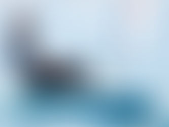 Velejadora do clube Carolina João