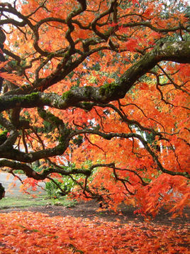 Positive Changes the Fall Brings