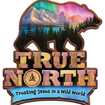 VBS Logo True North