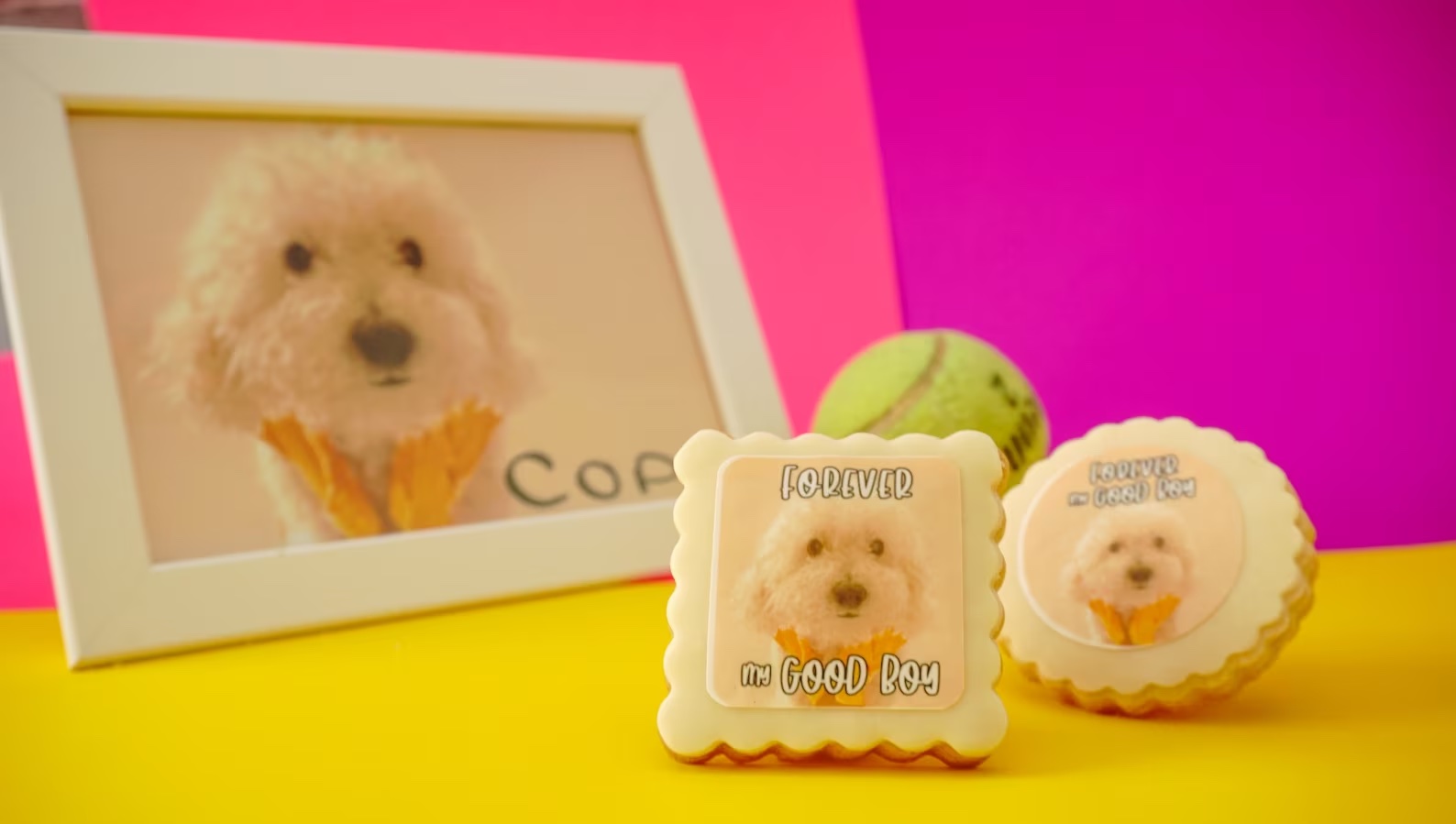 Custom pet photo cookies