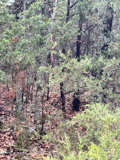 Thumbnail: 245-00058-000 OAKLAND AR marion county 9 lots near bull shoals lake OVER 3 ACRES