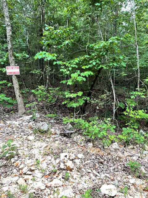 Thumbnail: 688-25646-000 HARDY ARKANSAS KENT 14 BRAVO DRIVE 0.20 ACRE