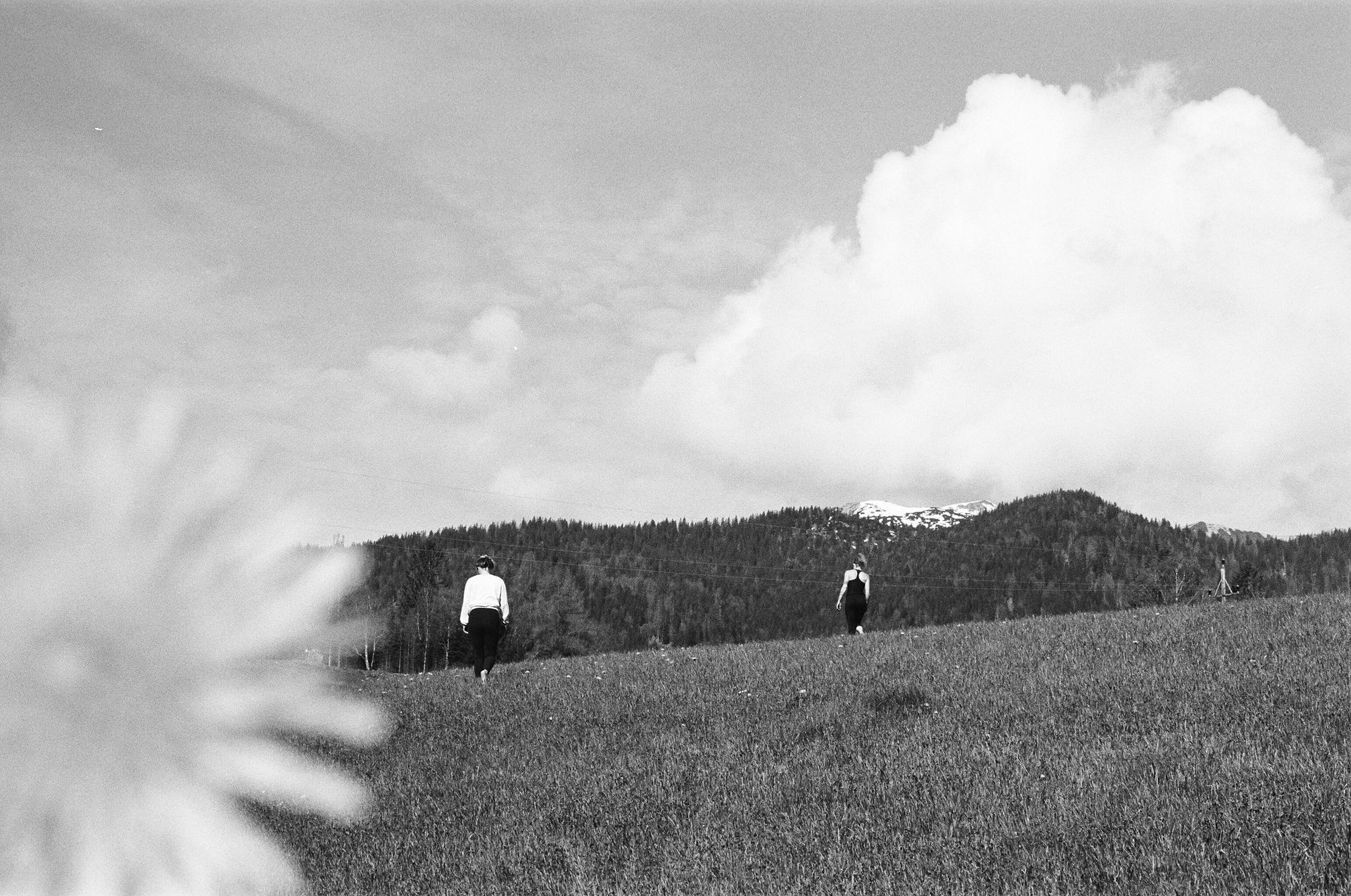 Yoga Retreat Mesnerhof-C