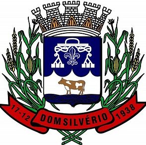 Brasao-ds.png