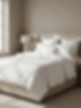 hf_20260611_185456_42ffad86-32fa-4480-98a9-e420783fe1a9.png