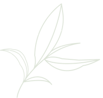 Untitled design_edited_edited.png