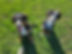 20230413_172033.jpg