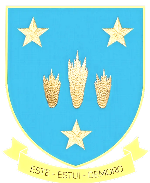Blason de la Famille Sans d'Agut_edited_edited_edited.png