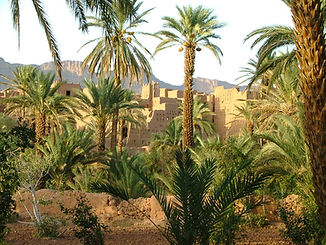 les kasbahs d'Agdz.JPG
