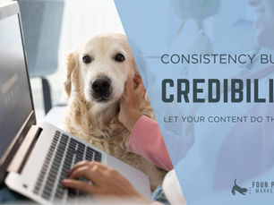 The Power of Fresh Website Content
