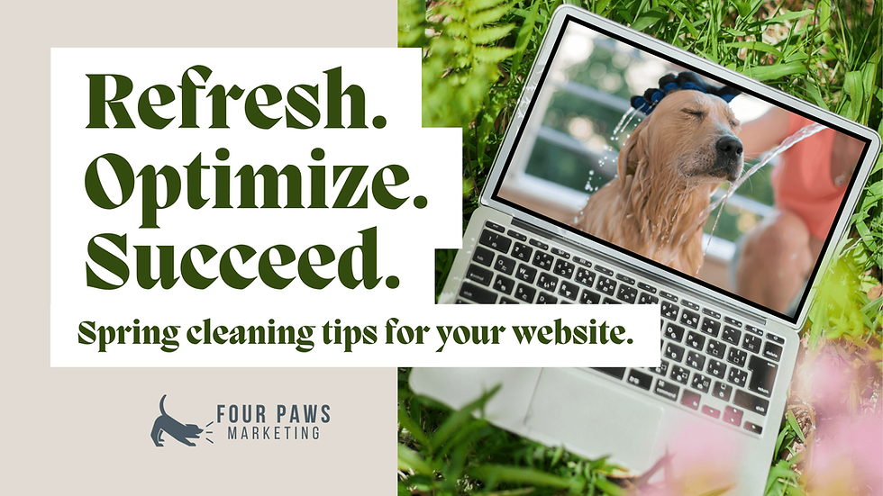 laptop with video of dog being cleaned playing. Text overlay says "Refresh. Optimize. Succeed. Spring cleaning tips for your website"