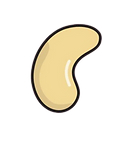 Cashew Illustration-1