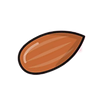 Almond Illustration