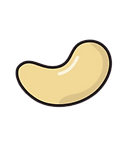 Cashew Illustration-2