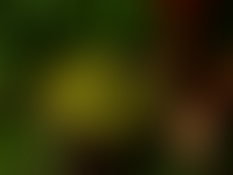 Henna for Afros: Ancient Strength, Modern Moisture & Length Retention