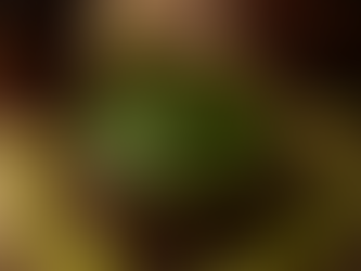 Why Pre-Poo Matters: The Power of Coconut, Neem & Amla Before You Cleanse