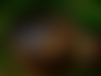 Hygral Fatigue: When Too Much Water Damages the Hair