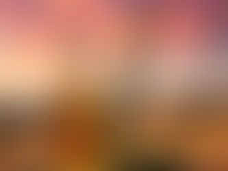 The Role of Rosemary Oil in Afro Hair Care: Circulation, Strength & Growth Awakening