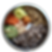 home-cooked-dogfood-vs-freeze-dried-raw-dogfood-drveneta