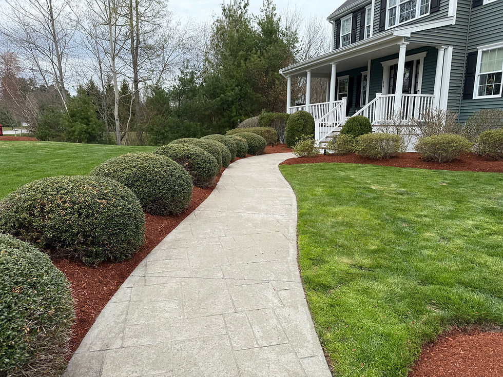 Outumn Repairs Services