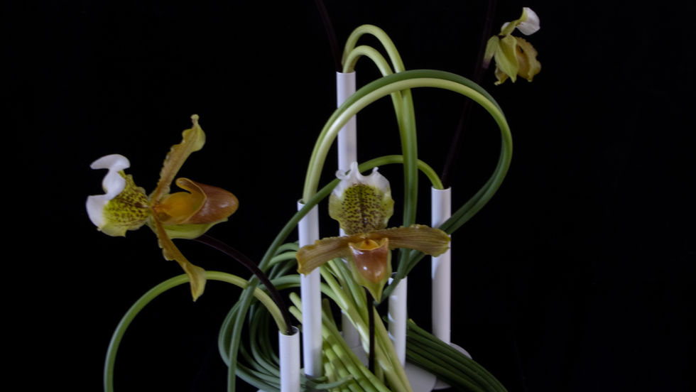 Harold & Rosa's wedding 