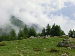 CIMG0247