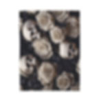 skulls & roses blanket