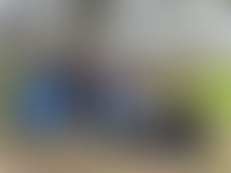 Article ~ American Forest Foundation, April 2023