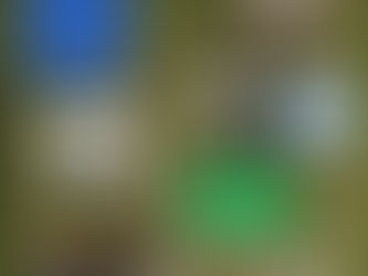 Support for You: TN Black Farmers Coalition