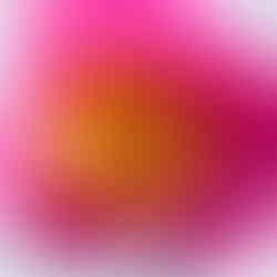 Close up of bright pink flower.