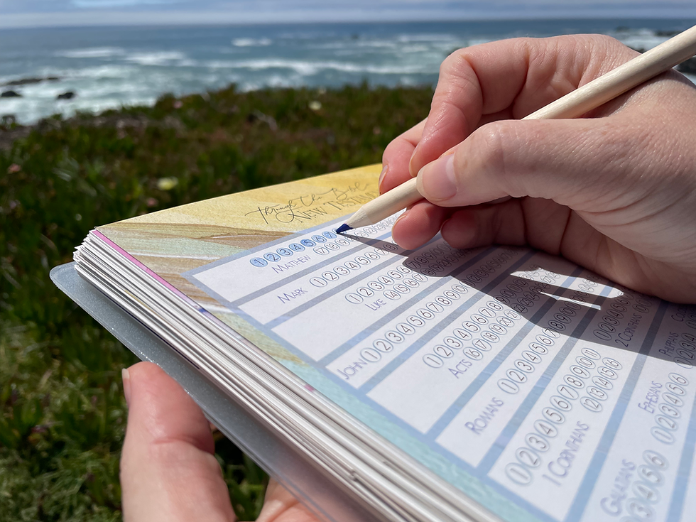 Thumbnail: Mark off chapters of the Bible as you read them