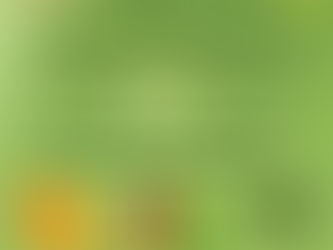 Vitamin C (ascorbic acid) is a water-soluble vitamin essential for normal growth, tissue repair, and immune function. Humans cannot synthesize Vitamin C and must obtain it from dietary sources.