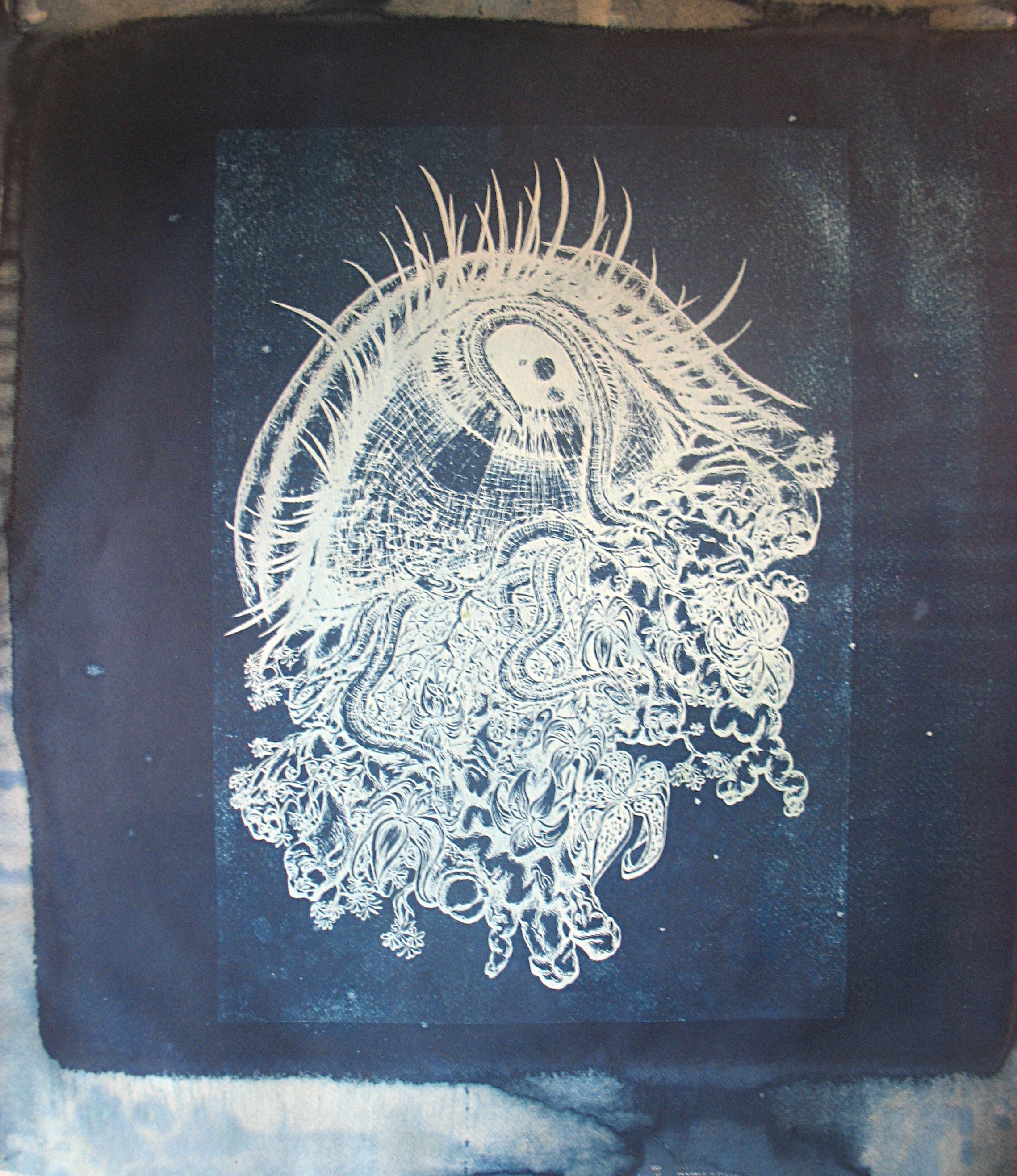 Cyanotype Larmes