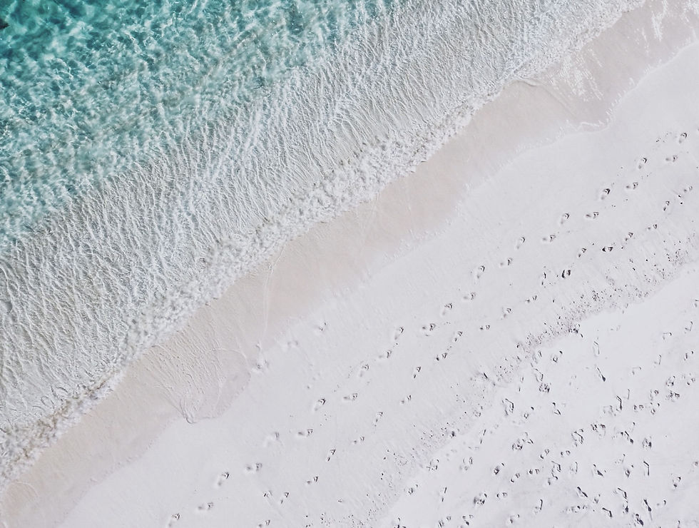Serene Beach Shoreline