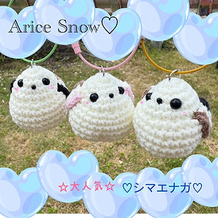 Arice Snow 画像.jpg