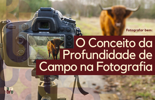 Conceito da Profundidade de Campo na Fotografia