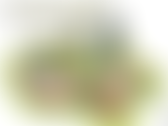 Afghan Refugees In India Pt. I: Current Legal Status, Identity Crisis And Future Prospects