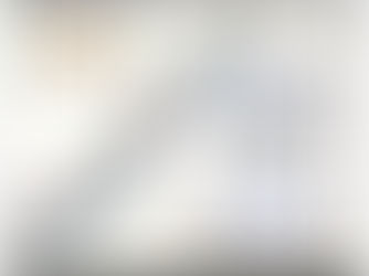 How to Lay a Case against Immunity