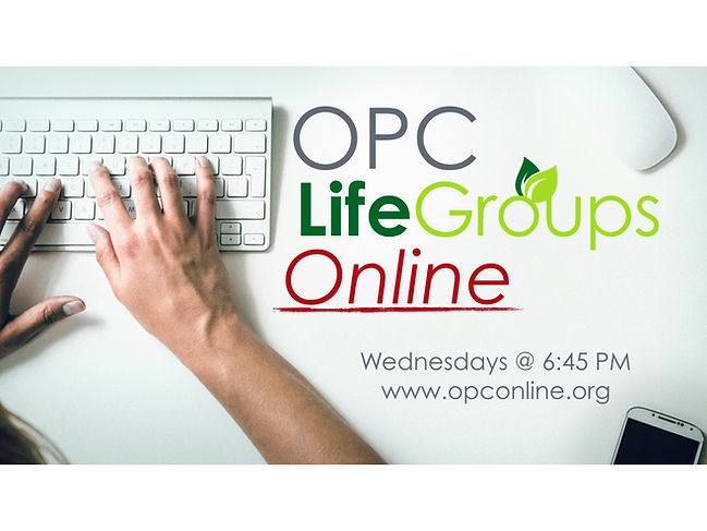 OPC LG Online.001.jpeg