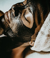spa-4481538_1280.jpg