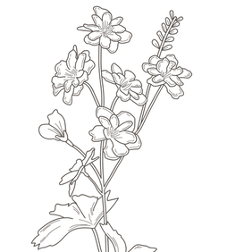 Untitled design_edited.png