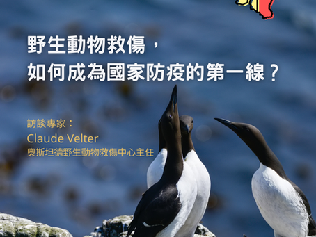 🗒️比利時救傷制度專訪紀錄:野生動物救傷,如何成為國家防疫的第一線❓