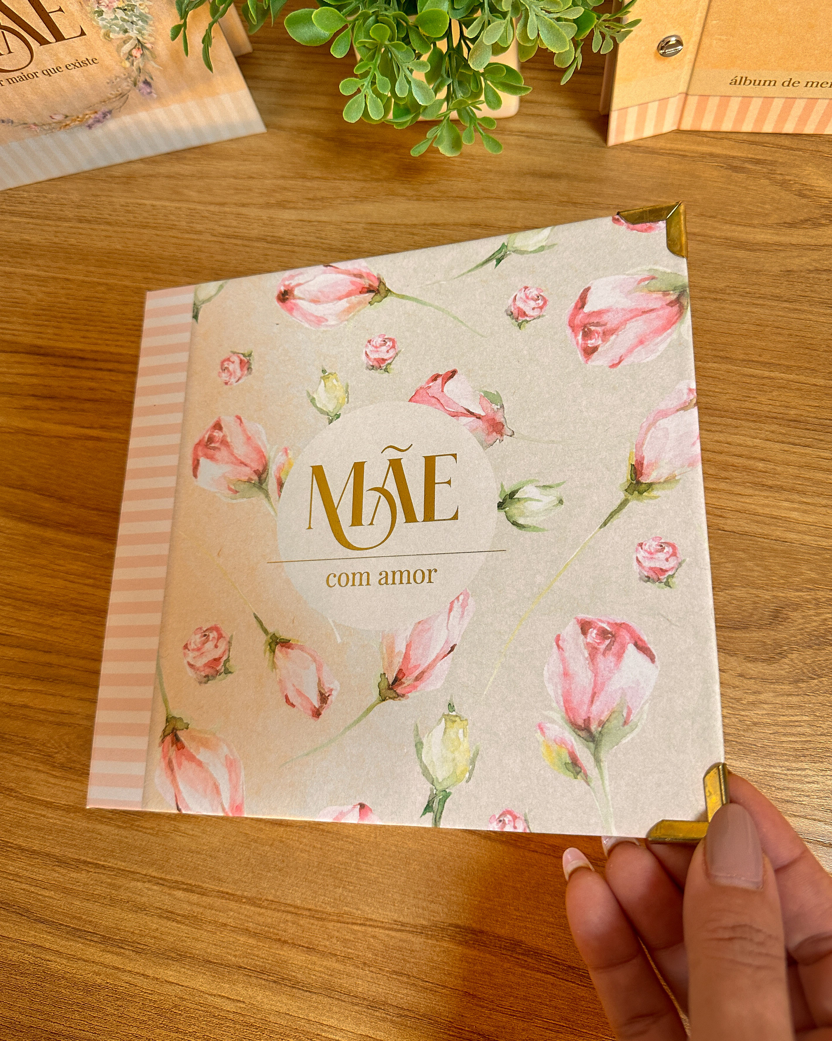ÁLBUM AMOR EM PÁGINAS